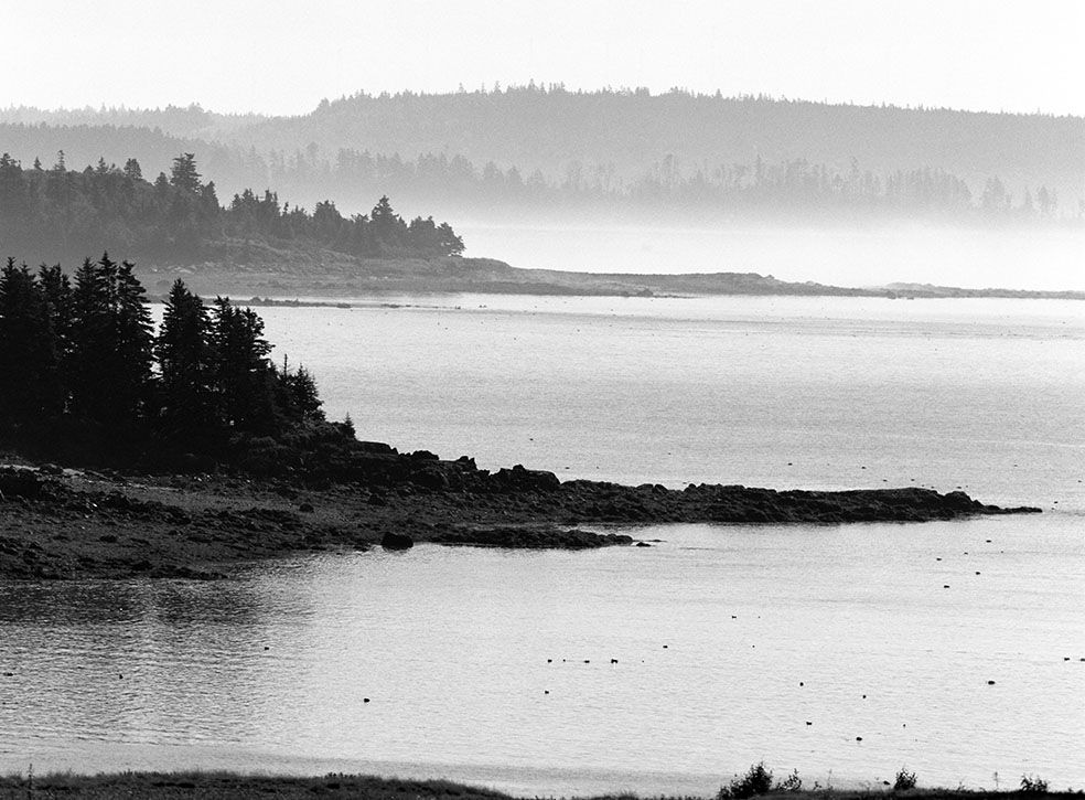 Fog moving out of bays in Maine