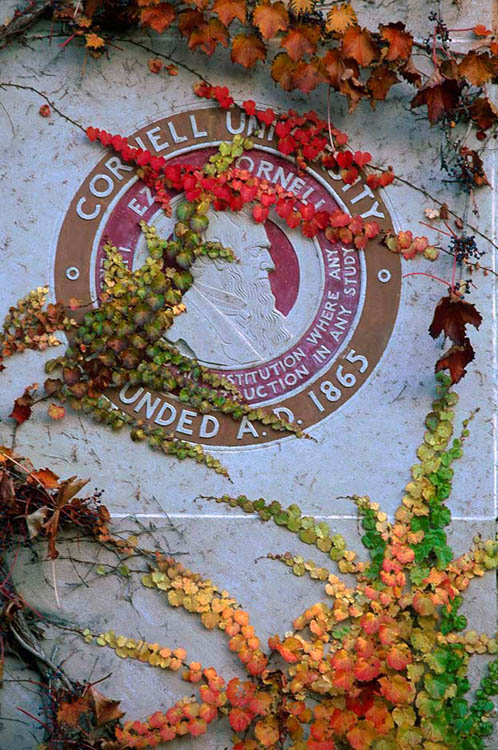 Cornell ivy coverd seal on Day Hall