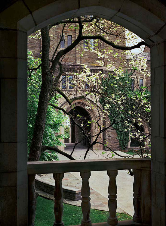 Dogwood tree framed in stone passageways of Myron Taylor Hall, Cornell U