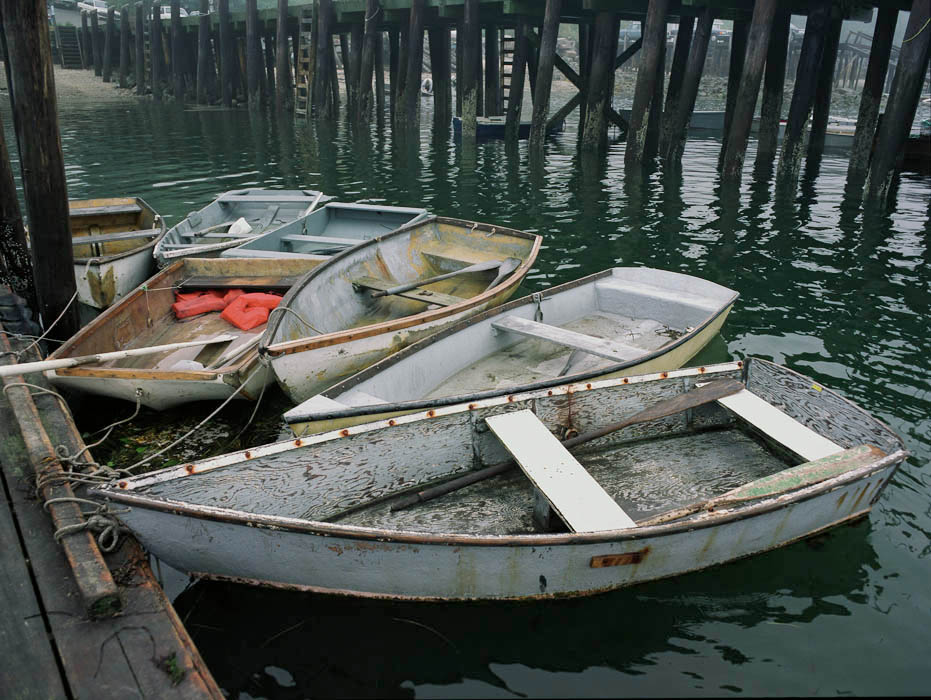 Dinghys tied together at a foggy dock