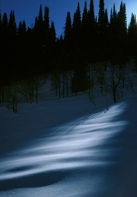 Last rays of sun shine on a glittering snow covered slope at Bunchgrass Meadow, UT