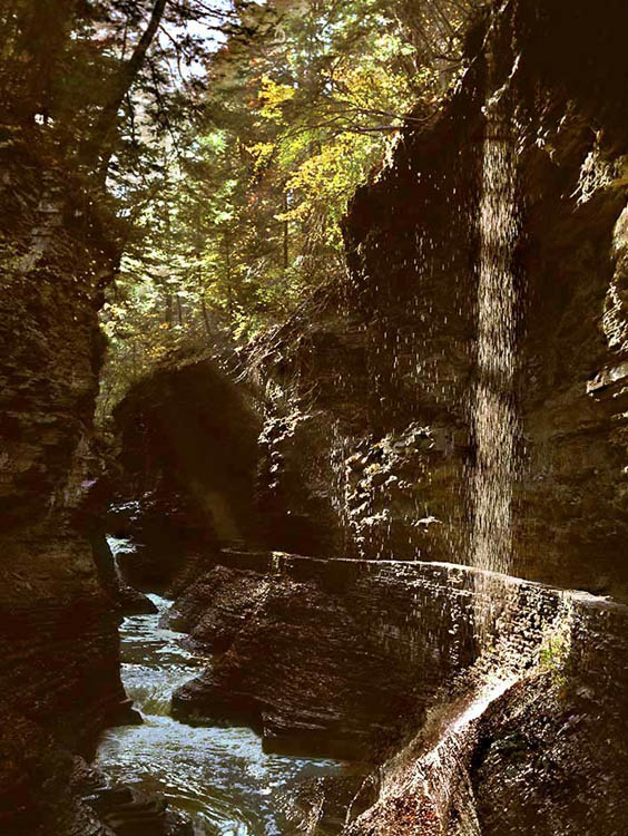 Afternoon sun lights up droplets of water falling in Watkins Glen State Park, NY