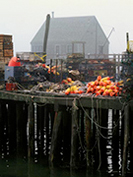 Brightly colored fishing tackle on an old gray dock in Friendship ME