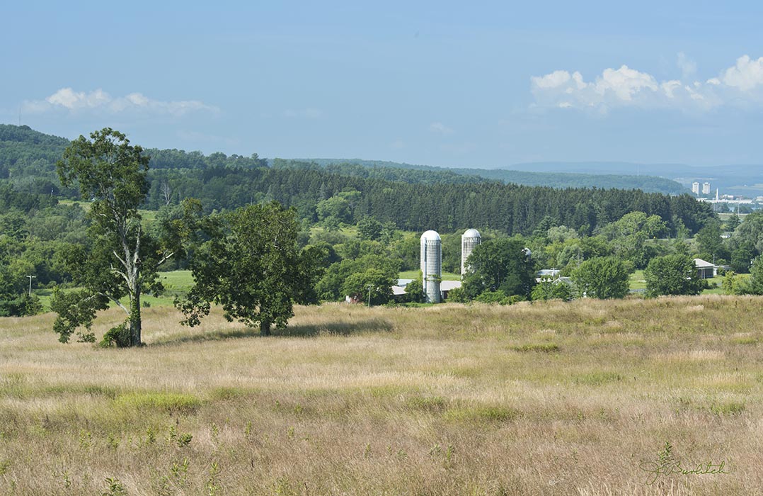 A triple pair: trees, barn silos, and IC towers from Turkey Hill Road